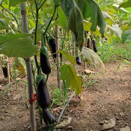 Turisticos Turbon - Apartmán