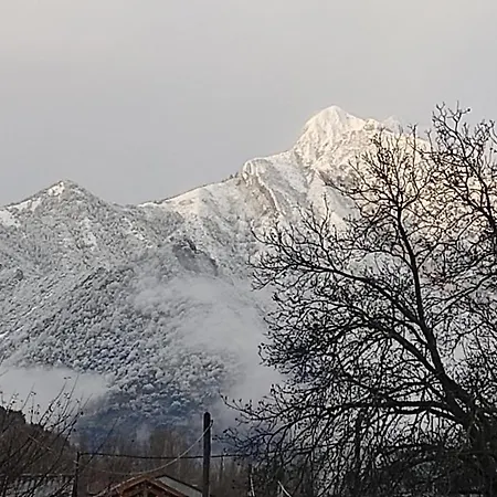 Turisticos Turbon - *