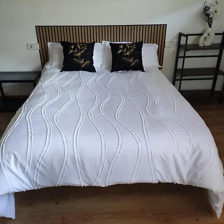 Apartmán Turisticos Turbon - *