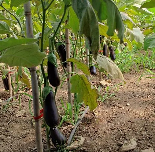 Turísticos Turbon - Apartamento