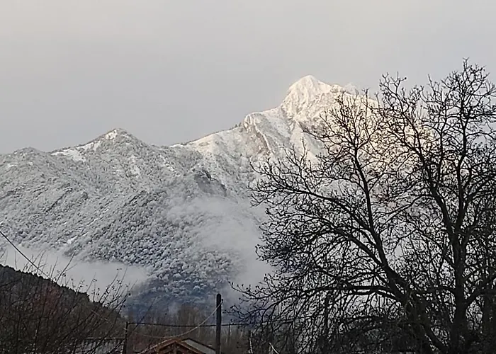 Turísticos Turbon - *